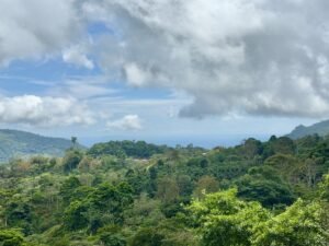 Foto 18-2-25, 13 19 14