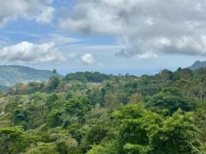 Foto 18-2-25, 13 19 52