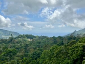 Foto 18-2-25, 13 22 48