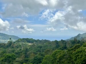 Foto 18-2-25, 13 22 55