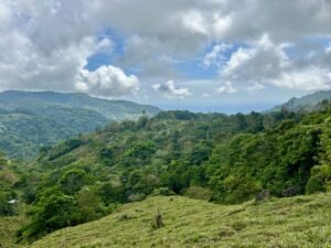 Foto 18-2-25, 13 23 16