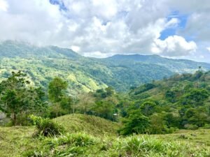 Foto 18-2-25, 13 23 27