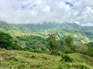 Foto 18-2-25, 13 23 32