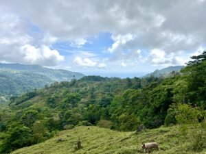 Foto 18-2-25, 13 25 50