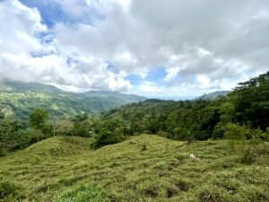 Foto 18-2-25, 13 26 06