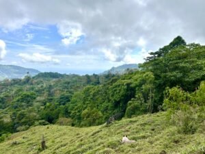 Foto 18-2-25, 13 26 47