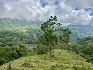 Foto 18-2-25, 13 27 35