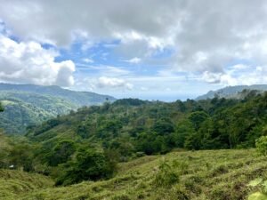 Foto 18-2-25, 13 27 49