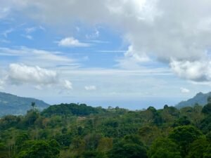 Foto 18-2-25, 13 28 33