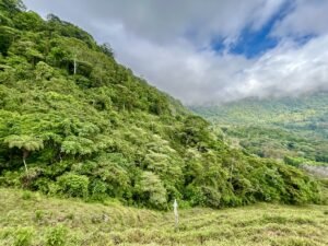 Foto 18-2-25, 13 28 42