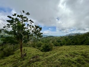 Foto 18-2-25, 13 28 56