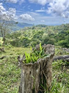 Foto 18-2-25, 13 30 40