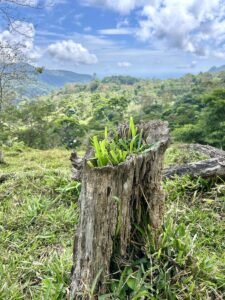 Foto 18-2-25, 13 30 41