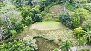 Photo 24-5-25, 8 52 44 AM