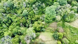 Photo 24-5-25, 8 54 21 AM