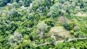 Photo 24-5-25, 9 06 30 AM