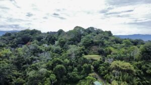 Photo 24-5-25, 9 10 44 AM