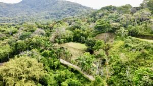 Photo 24-5-25, 9 11 37 AM