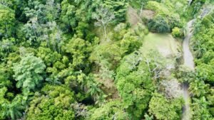 Photo 24-5-25, 9 21 10 AM