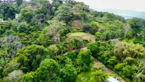 Photo May 24 2025, 9 10 29 AM