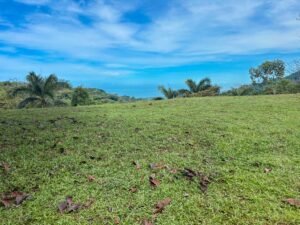 Photo May 24 2025, 9 14 54 AM