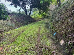 Photo May 24 2025, 9 15 45 AM