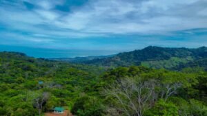 Photo May 24 2025, 9 21 41 AM (1)