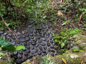 Photo May 24 2025, 9 23 52 AM