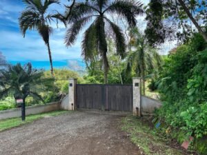 Photo May 24 2025, 9 52 12 AM