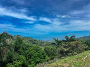 Photo May 24 2025, 9 58 52 AM