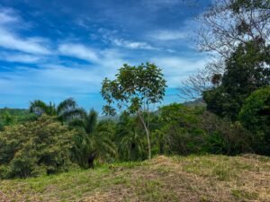 Photo May 24 2025, 9 59 11 AM