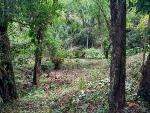 Photo May 24 2025, 9 59 37 AM