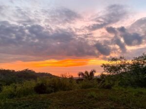 Photo May 25 2025, 10 24 50 AM