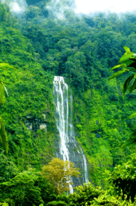 Screenshot 2024-11-01 053956