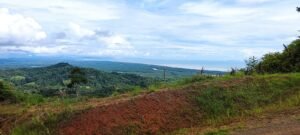 WhatsApp Image 2025-04-25 at 9.12.12 AM (1)