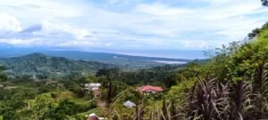 WhatsApp Image 2025-04-25 at 9.12.12 AM