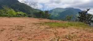 WhatsApp Image 2025-04-25 at 9.12.14 AM (1)