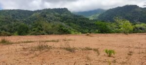 WhatsApp Image 2025-04-25 at 9.12.14 AM (3)