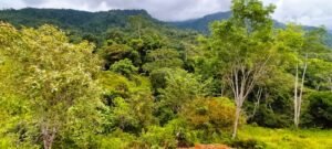 WhatsApp Image 2025-04-25 at 9.12.15 AM (1)