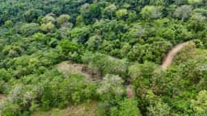 dji_fly_20250122_133718_0674_1737744952348_photo