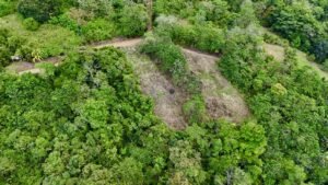 dji_fly_20250122_133816_0677_1737744935297_photo