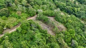 dji_fly_20250122_133824_0678_1737744931679_photo