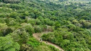 dji_fly_20250122_133906_0682_1737744922665_photo