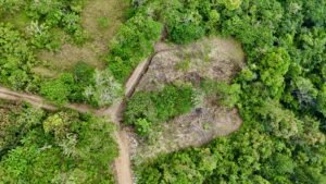 dji_fly_20250122_133944_0684_1737744916338_photo