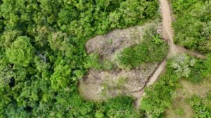 dji_fly_20250122_134036_0687_1737744909315_photo