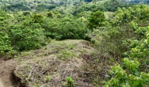 dji_fly_20250122_134244_0692_1737744887030_photo