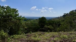 dji_fly_20250122_134324_0693_1737744884601_photo