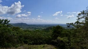 dji_fly_20250122_134428_0698_1737744873797_photo