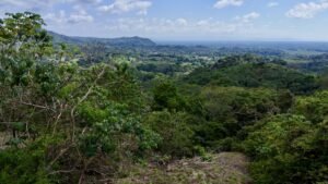 dji_fly_20250122_134638_0704_1737744844190_photo