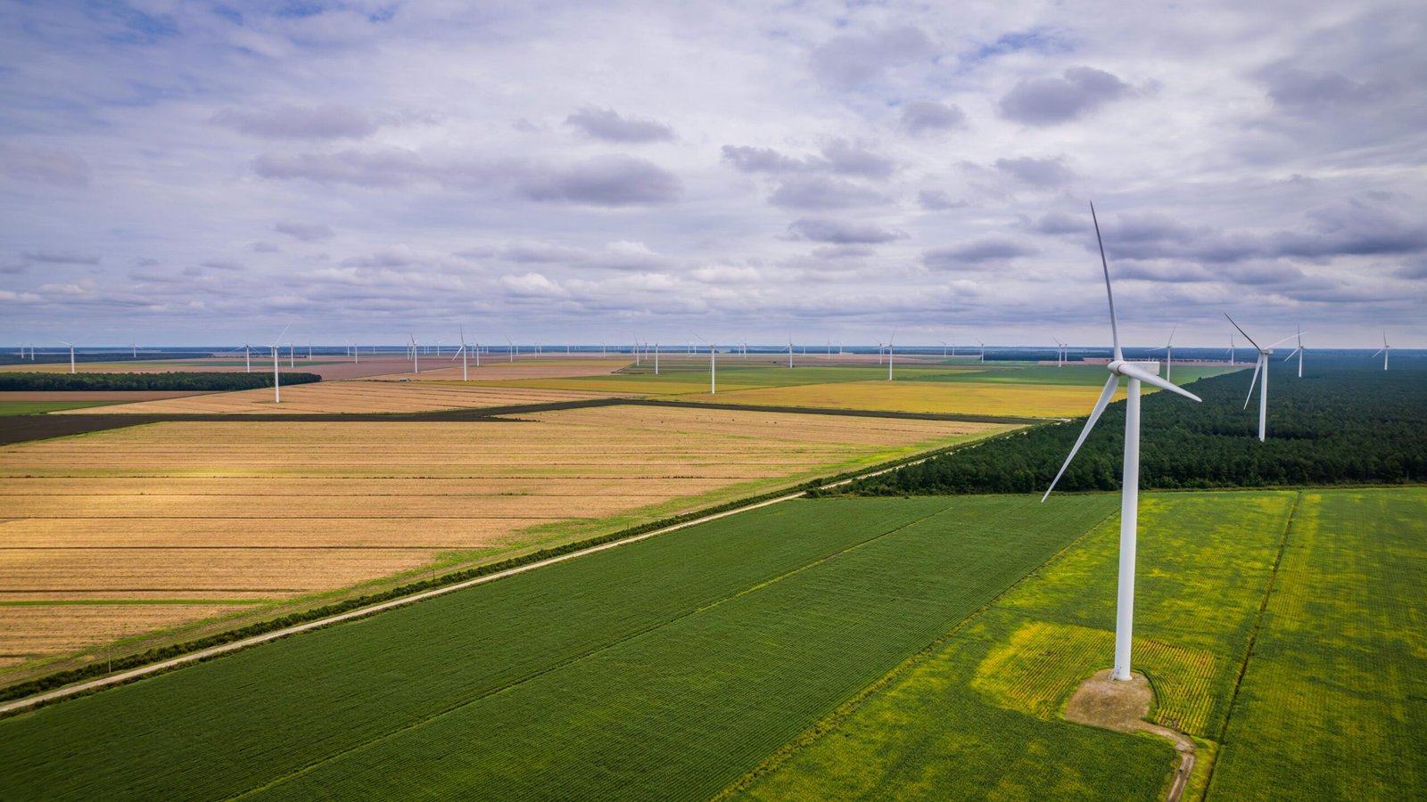 Wind farms can be minimally disruptive to their environments - taking up minimal real estate and allowing for agricultural activities to continue all around them.